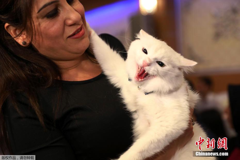 世界华文媒体于10月17日回:购50万股股份