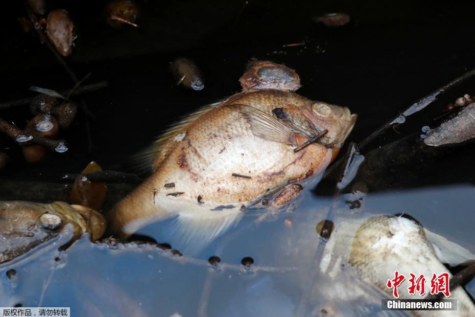 “;殡葬业老大”亏损了