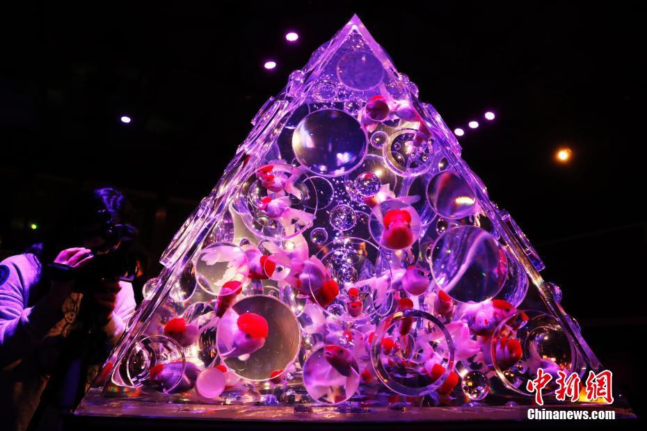 桂林三;金拟每10股派发现金股利2元