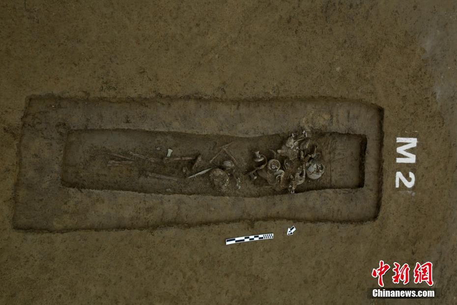 四大?证<券>报头版头条内容精华摘要_2025年10月20日_财经新闻