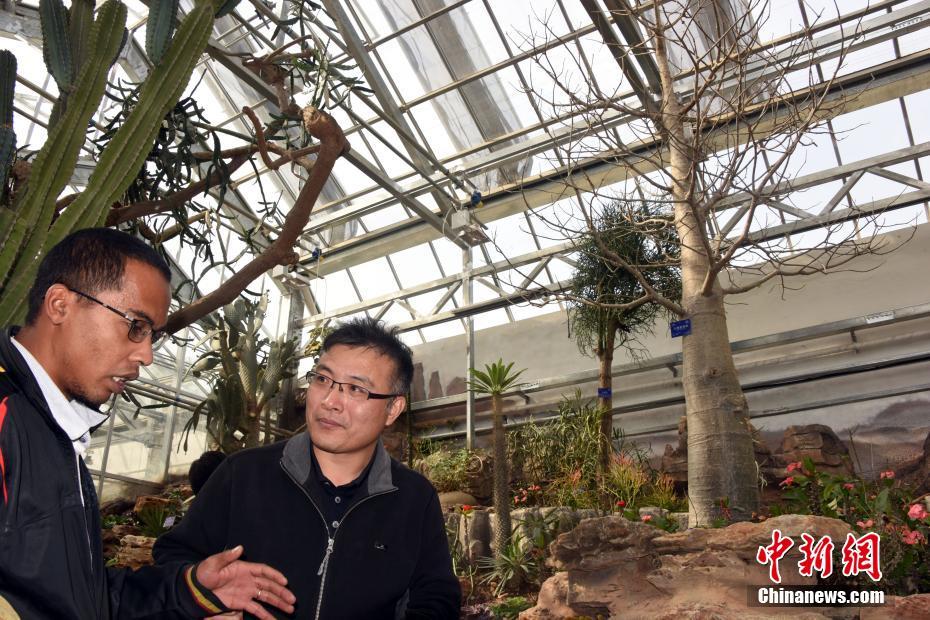 特朗普对.政府关门风险不以为然：要是不得不关，那就关吧