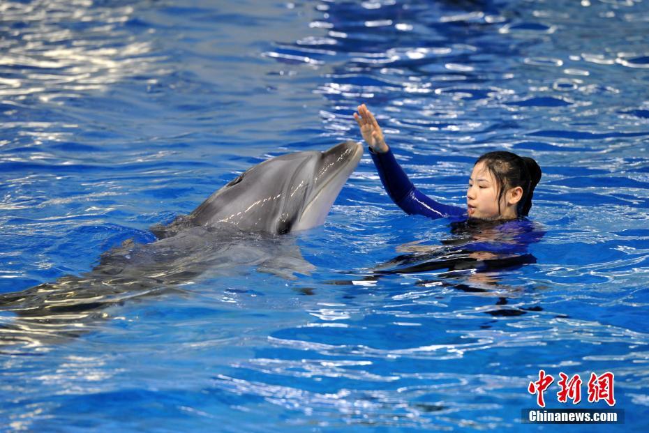 I‘M’F,二号人物警告全球债市处脆弱状态 借贷水平不可轻视