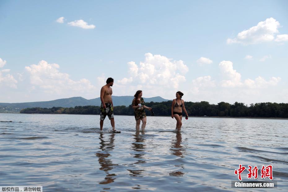 A—I独;角兽Cohere启动员工股权转让计划 为持股员工提供变现渠道