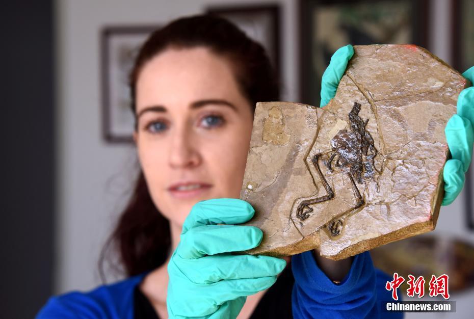 中金公司;拟发行不超22亿元公司债券