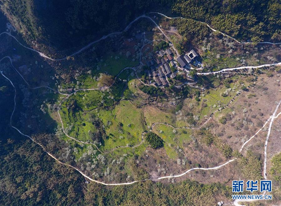 奥:克股份：公!司PEO材料尚处于开发阶段