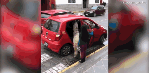 精达股份：产,品广泛用于汽车驱动电机、工业精密电机等领域