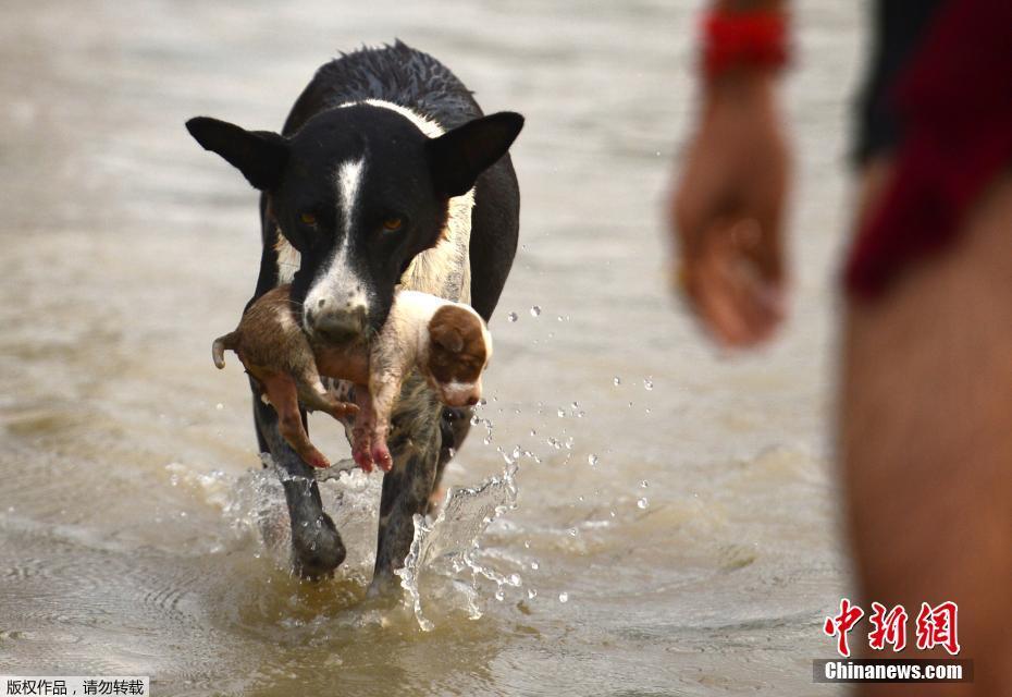 平安‘银’行中层调?整 涉及零售多部门负责人和分行行长