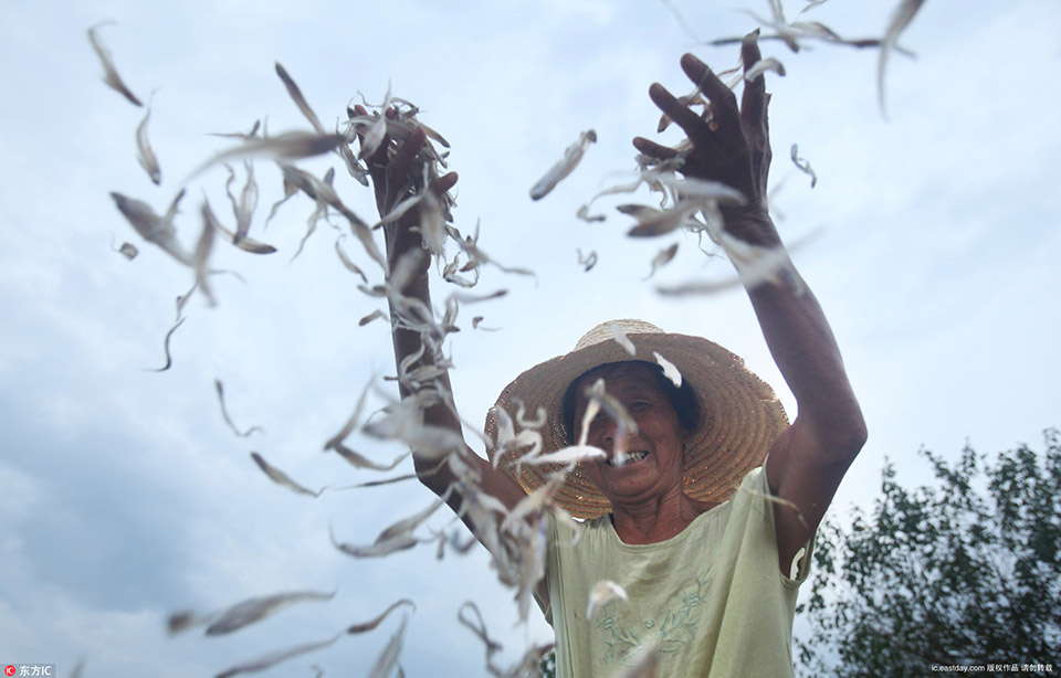 中国信通院：平:安好医生获业界首张“医疗健康数据安全管理能力”复评证书