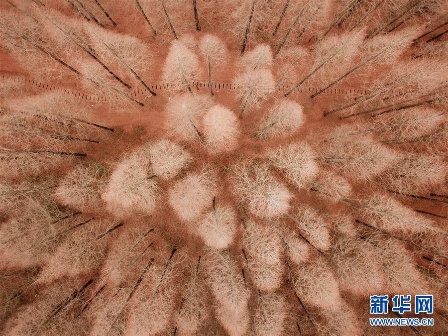 光大环境将?于10月20日派发中期股息每股0.15港元