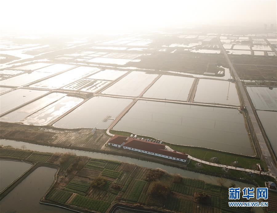 海尔智?家将派发中期股息2.69元