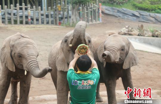 A<y>tu BioPharma推出指向价值220亿美元重度抑郁症市场的计划