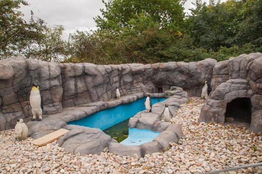 陈文健—到中国铁工投资调研