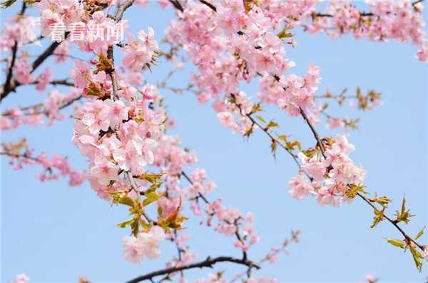 樊纲：中国经济长期问题在<于>消费需求不足