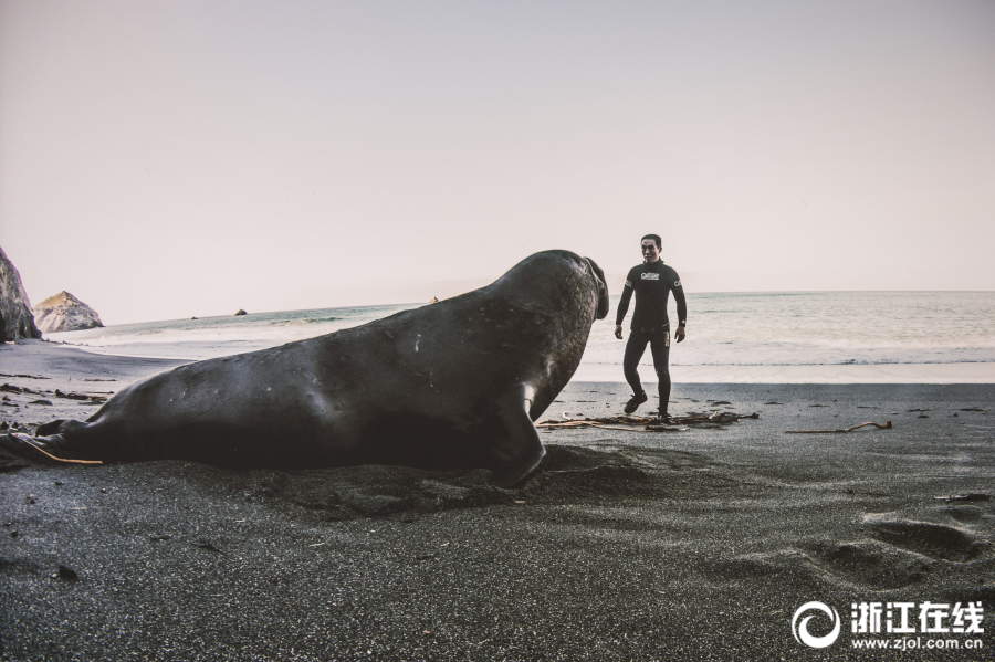 中邮:·宏观|出‘口’延续边际放缓，关注中欧合作深化