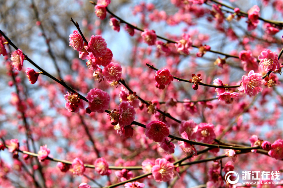 万<维>网之父蒂姆・伯纳斯-李：当前互联网广告模式或将被 AI 摧毁
