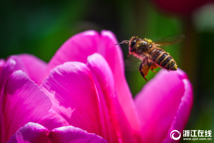 易,会!满落马背后：几个家人也被一并带走