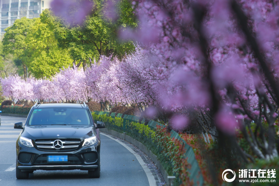 AI?算力需求井喷！Applied Digital(APLD.US)Q1营收暴涨84%超预期 盘后飙涨逾12%