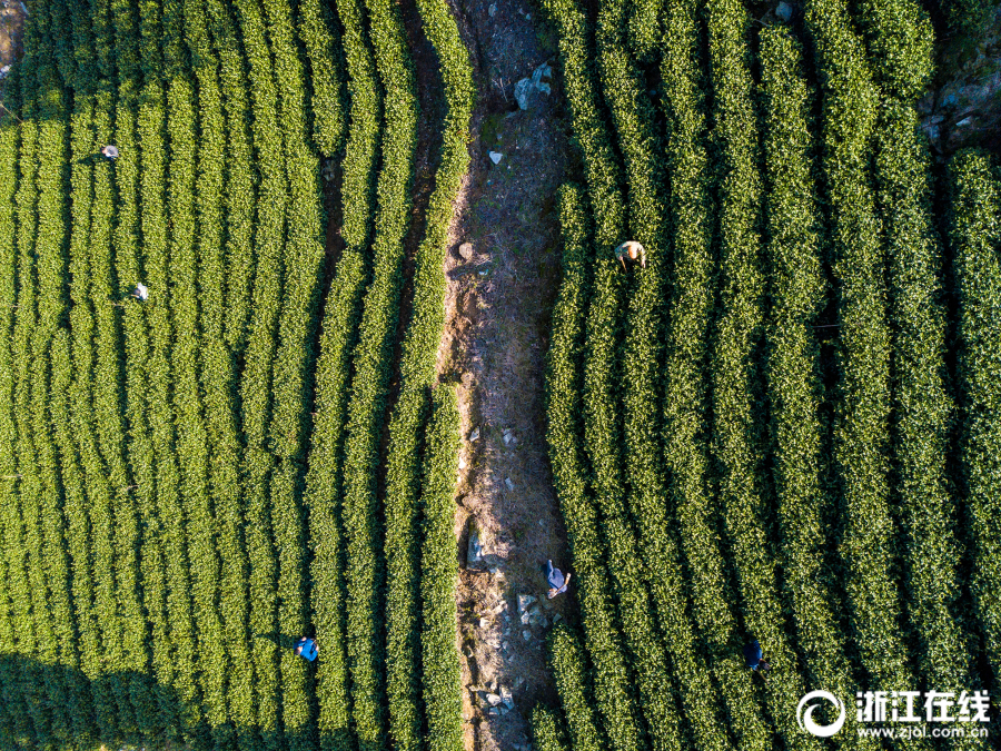 A—股，突发！“吹哨人”，<突>传重磅！