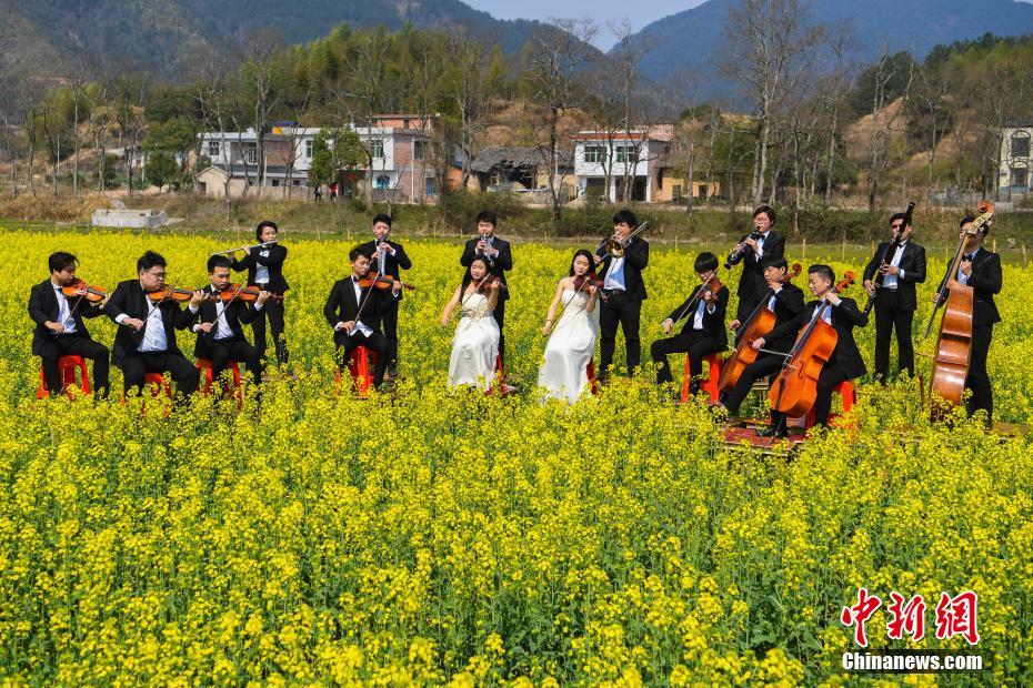 交通银,行数!字金融护航粤港澳大湾区建设