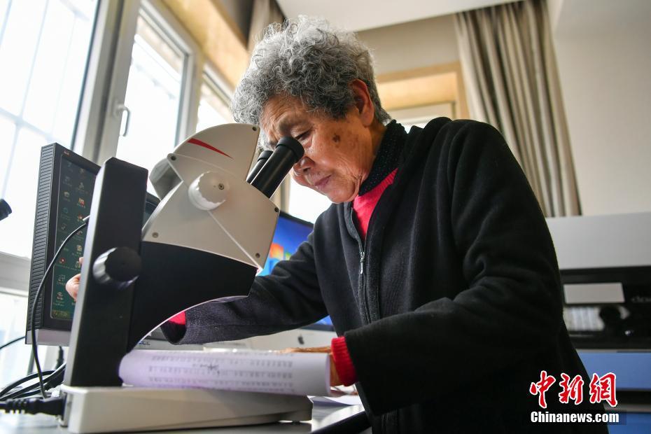 高盛：腾讯;控!股第三季业绩胜预期 AI驱动各业务增长 维持目标价770港元