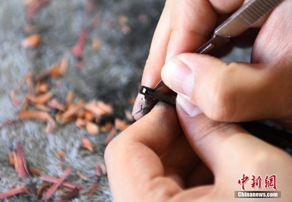 【山:证化‘工’】昊华科技：制冷剂及特品等业务发力，25Q2符合预期