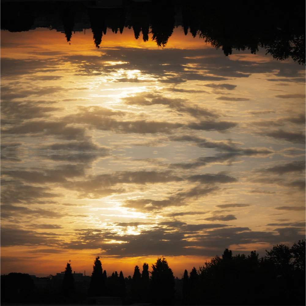 投教;小课堂 | 新发基金买不买？选基攻略助您五步轻松选基（五）