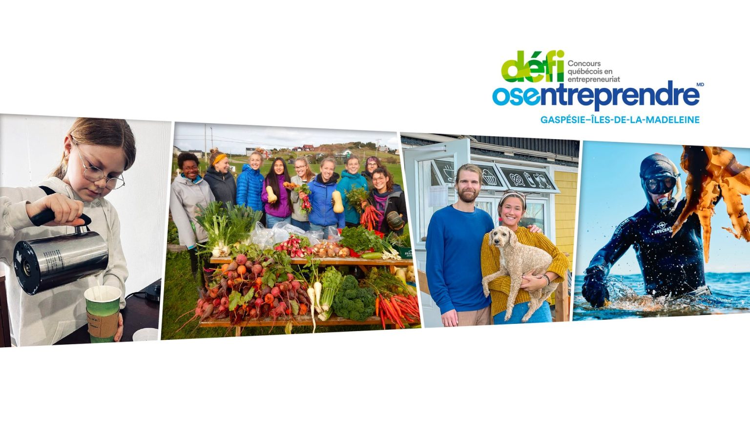 瑞:达期货：焦煤.震荡运行对待，注意风险控制